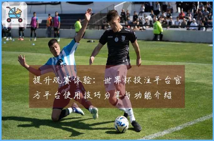 提升观赛体验：世界杯投注平台官方平台使用技巧分享与功能介绍
