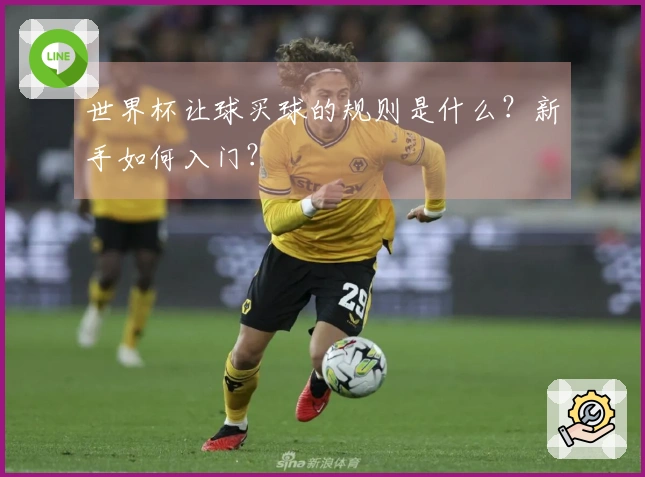 世界杯让球买球的规则是什么？新手如何入门？