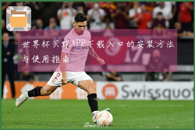 世界杯买球APP下载入口的安装方法与使用指南