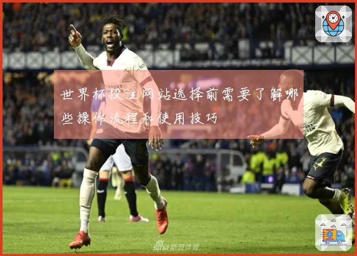 世界杯投注网站选择前需要了解哪些操作流程和使用技巧