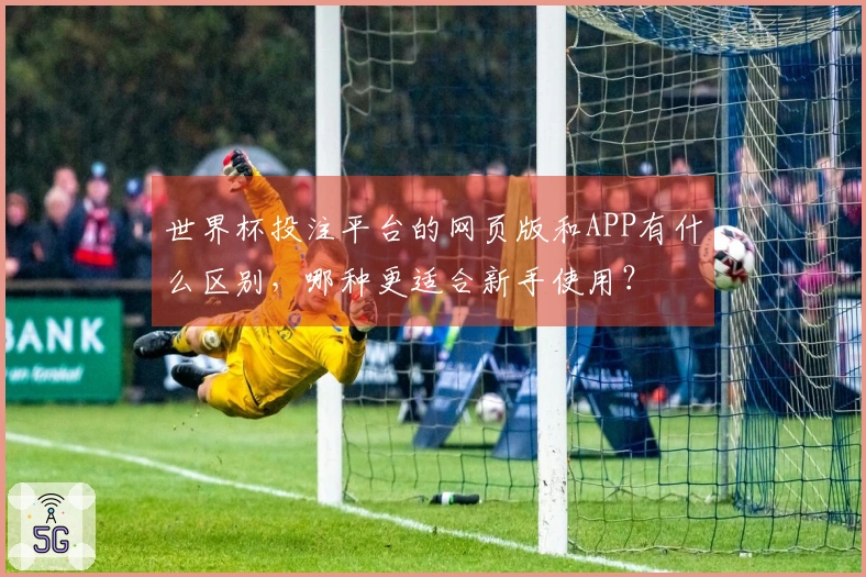 世界杯投注平台的网页版和APP有什么区别，哪种更适合新手使用？