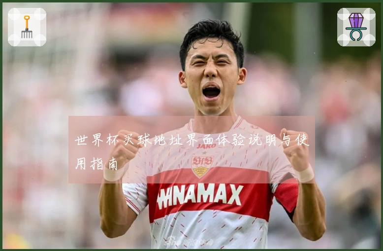 世界杯买球地址界面体验说明与使用指南