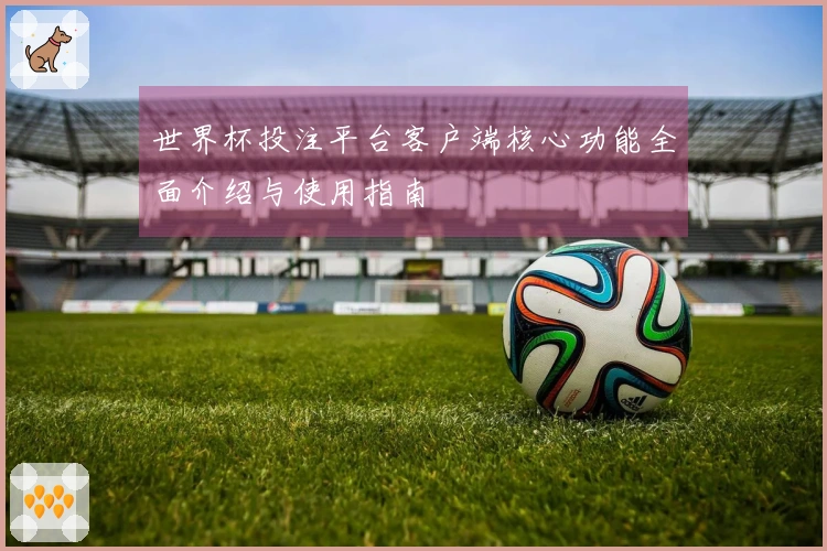 世界杯投注平台客户端核心功能全面介绍与使用指南