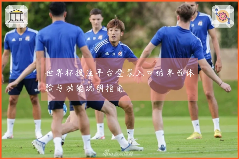 世界杯投注平台登录入口的界面体验与功能说明指南