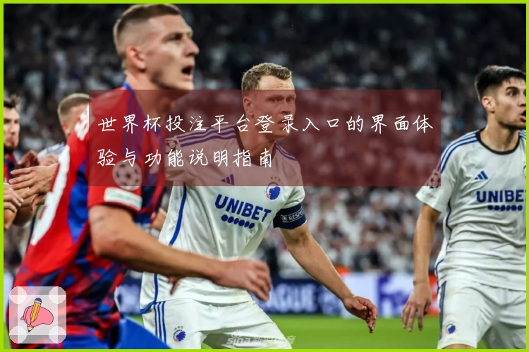 世界杯投注平台登录入口的界面体验与功能说明指南