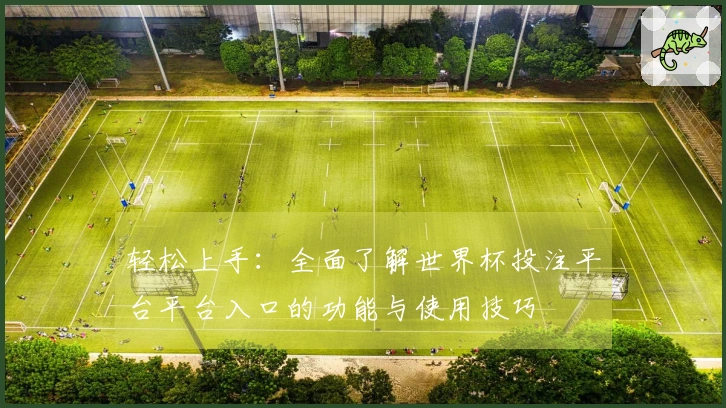 轻松上手：全面了解世界杯投注平台平台入口的功能与使用技巧