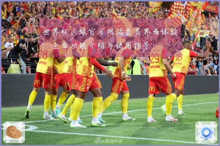 世界杯买球官方网站首页界面体验：全面功能介绍与使用指导