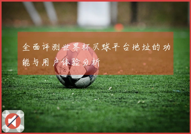 全面评测世界杯买球平台地址的功能与用户体验分析