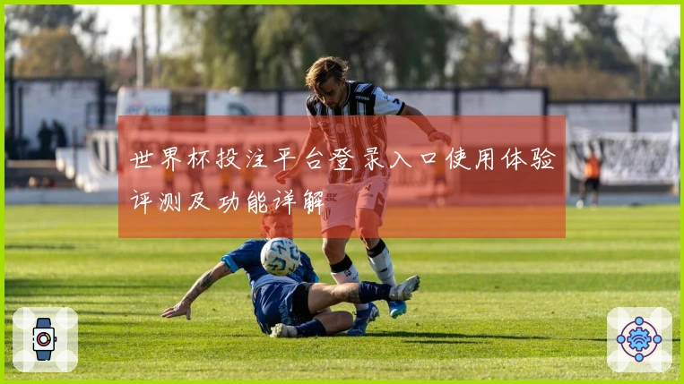世界杯投注平台登录入口使用体验评测及功能详解