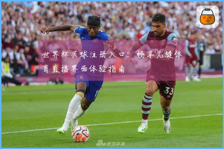 世界杯买球注册入口：畅享无缝体育直播界面体验指南