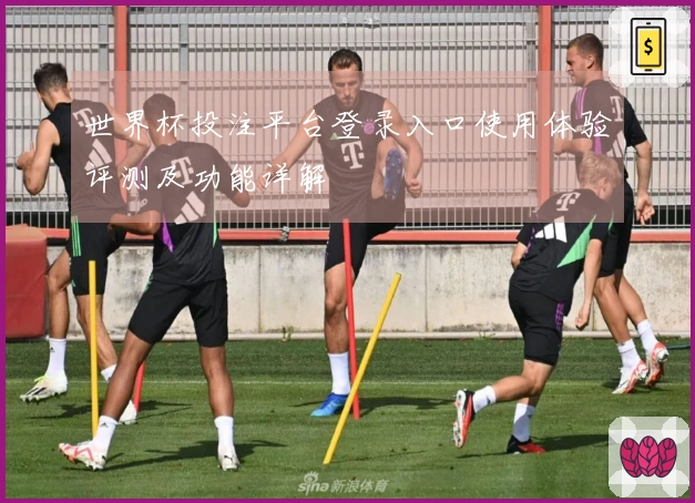 世界杯投注平台登录入口使用体验评测及功能详解