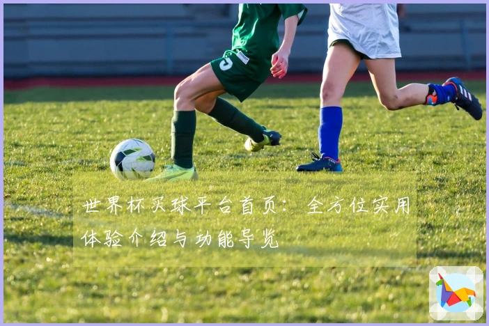 世界杯买球平台首页：全方位实用体验介绍与功能导览