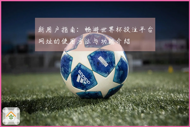 新用户指南：畅游世界杯投注平台网址的使用方法与功能介绍