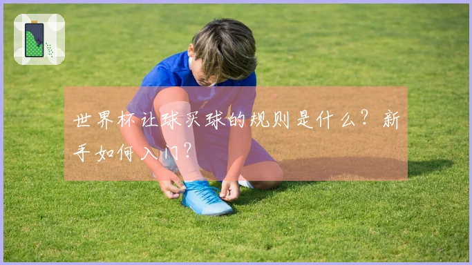 世界杯让球买球的规则是什么？新手如何入门？