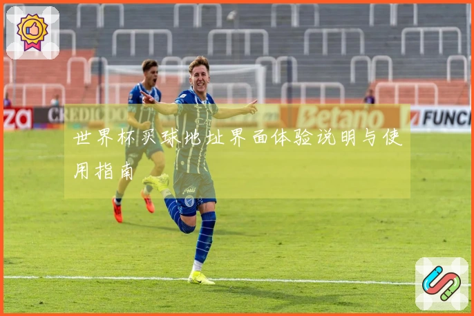 世界杯买球地址界面体验说明与使用指南