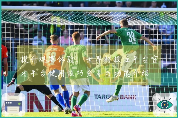 提升观赛体验：世界杯投注平台官方平台使用技巧分享与功能介绍