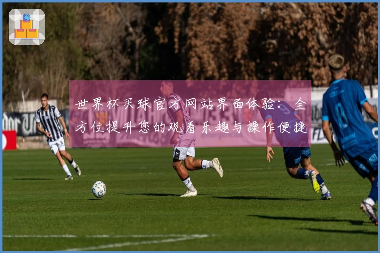 世界杯买球官方网站界面体验：全方位提升您的观看乐趣与操作便捷性