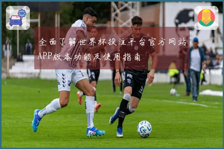 全面了解世界杯投注平台官方网站APP版本功能及使用指南