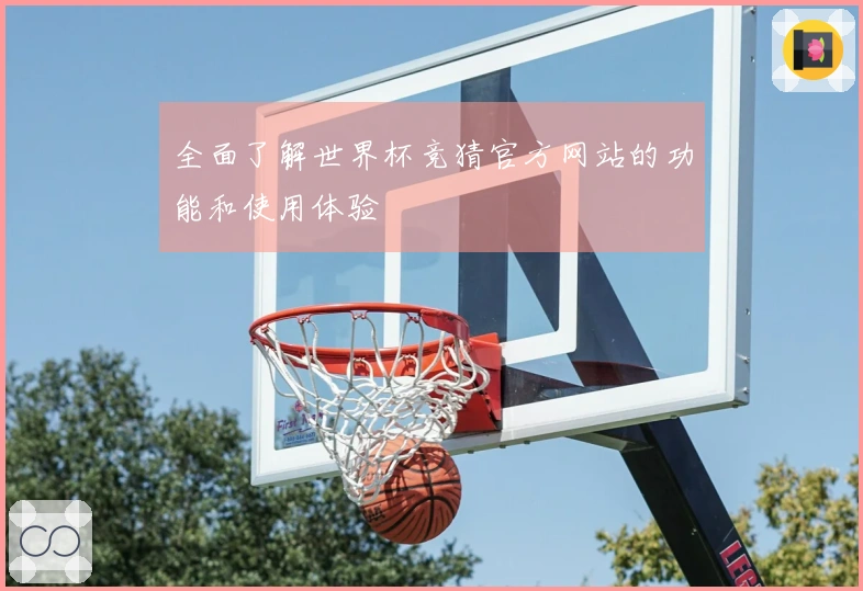 全面了解世界杯竞猜官方网站的功能和使用体验