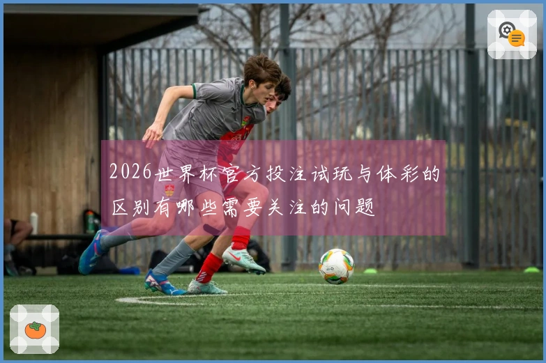 2026世界杯官方投注试玩与体彩的区别有哪些需要关注的问题